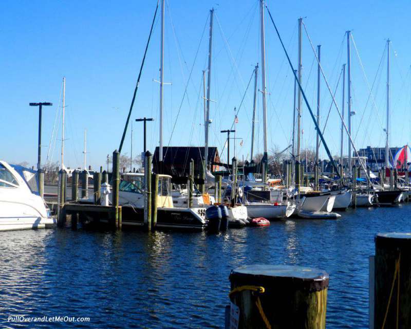 Annapolis has earned the name "America's Sailing Capital."