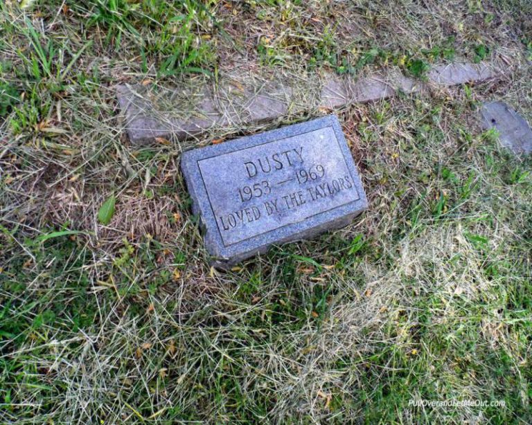 Pet headstone in a cemetery