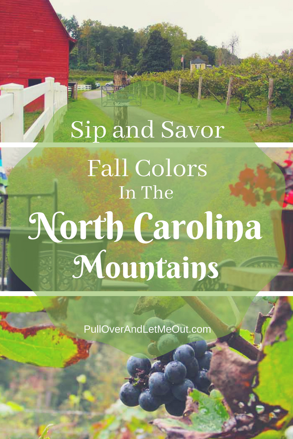 Sip and Savor Fall Colors North Carolina Mountains PullOverAndLetMeOut