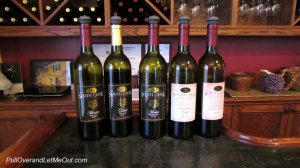 Bottles of South Creek Vineyards wine