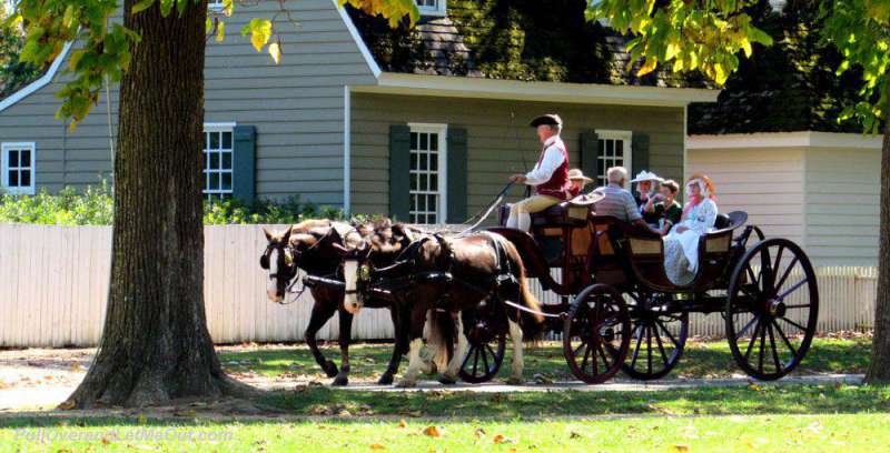 People riding in a horse drawn carriage in Colonial Williamsburg