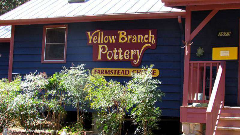 Yellow-Branch-sign