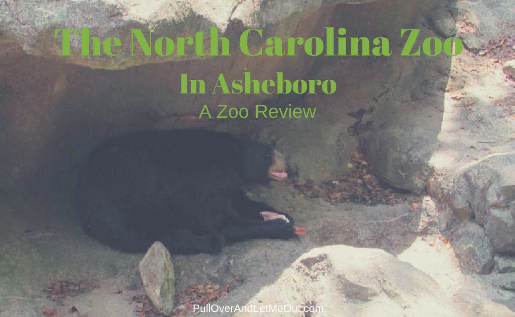 The North Carolina Zoo PullOverAndLetMeOut