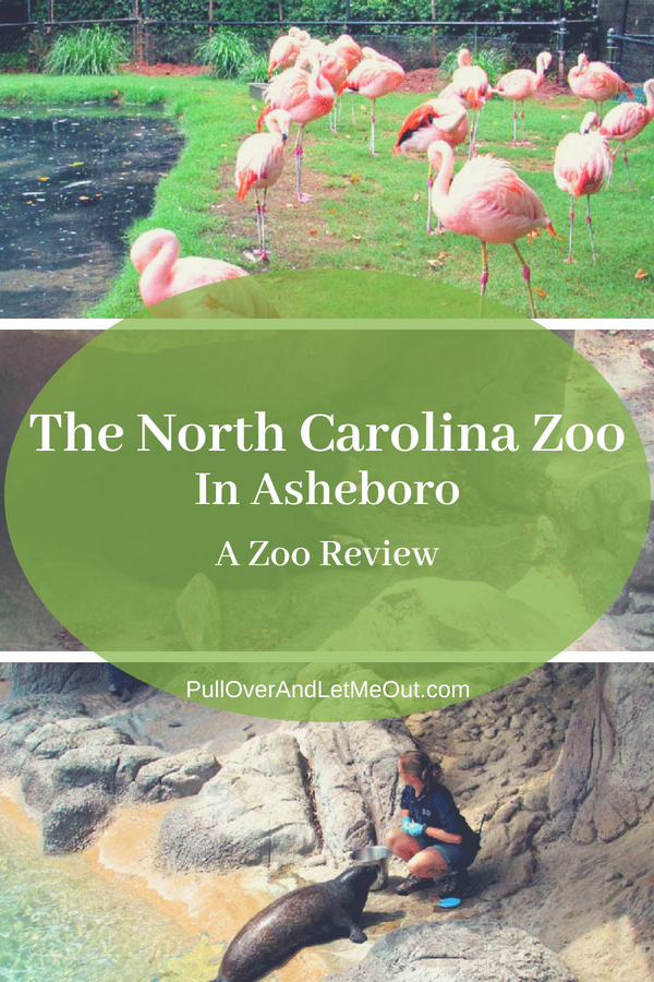 The North Carolina Zoo in Asheboro PullOverAndLetMeOut