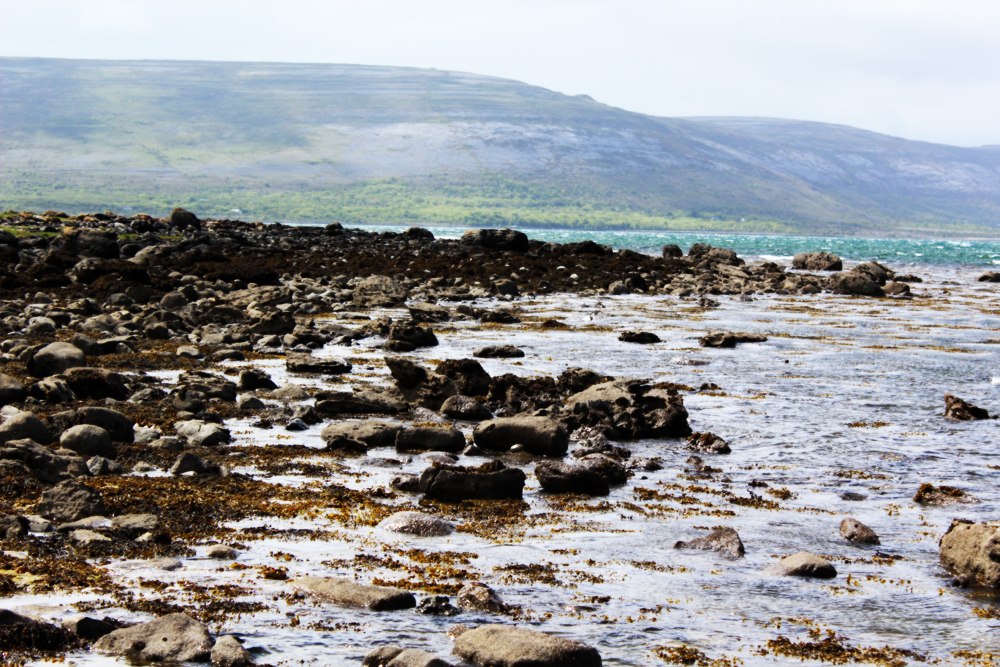 The Burren Visit Ireland Now PullOverAndLetMeOut