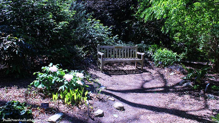 bench-on-path-JC-Raulston-Arboretum-Raleigh-PullOverAndLetMeOut