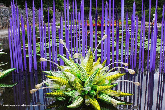 Chihuly at Biltmore features some beautiful glass art by renowned artist, Dale Chihuly. The artwork is enhancing the gardens and other areas of this iconic estate. #PullOverAndLetMeOut #ChihulyAtBiltmore #Chinuly #Biltmore #Asheville #travel #visitNC #NorthCarolina #art #glasswork 