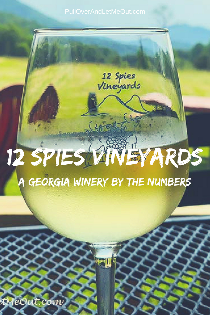 12 Spies Vineyards Georgia Winery situated in the northeastern corner of Georgia is a delightful winery with mountain views, live music, and delicious wines. #PullOverAndLetMeOut #12SpiesVineyards #GeorgiaWinery #GeorgiaWines #NorthGeorgiaWinery #WineTasting #WineryTours #WineryTravel #travel #winetravel #vineyards #grapevines #vineyardtours