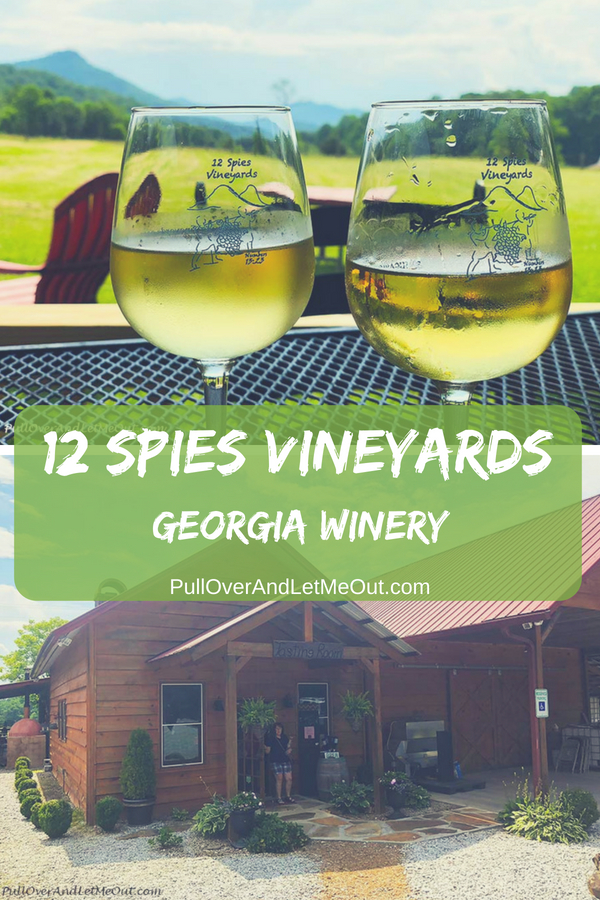 12 Spies Vineyards situated in the northeastern corner of Georgia is a delightful winery with mountain views, live music, and delicious wines. #PullOverAndLetMeOut #12SpiesVineyards #GeorgiaWinery #GeorgiaWines #NorthGeorgiaWinery #WineTasting #WineryTours #WineryTravel #travel #winetravel #vineyards #grapevines #vineyardtours