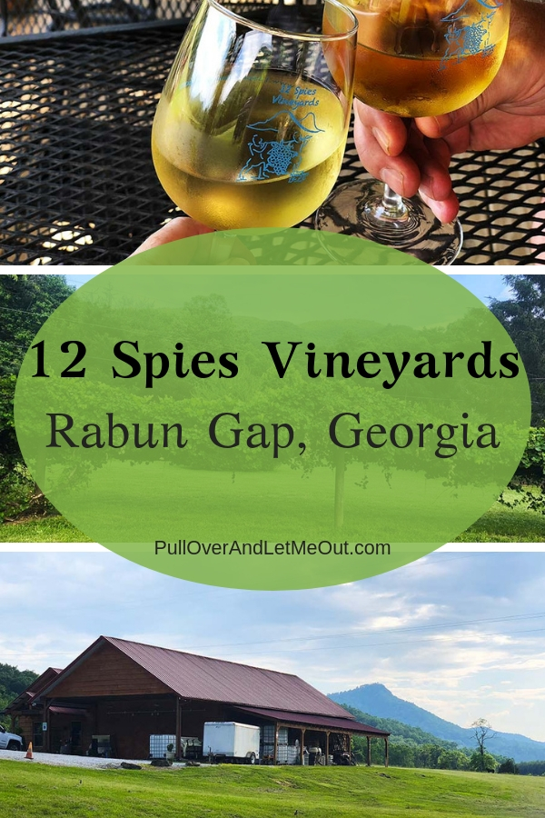 !2 Spies Vineyards is a charming winery located in the North Georgia Mountains. The wine is awesome!